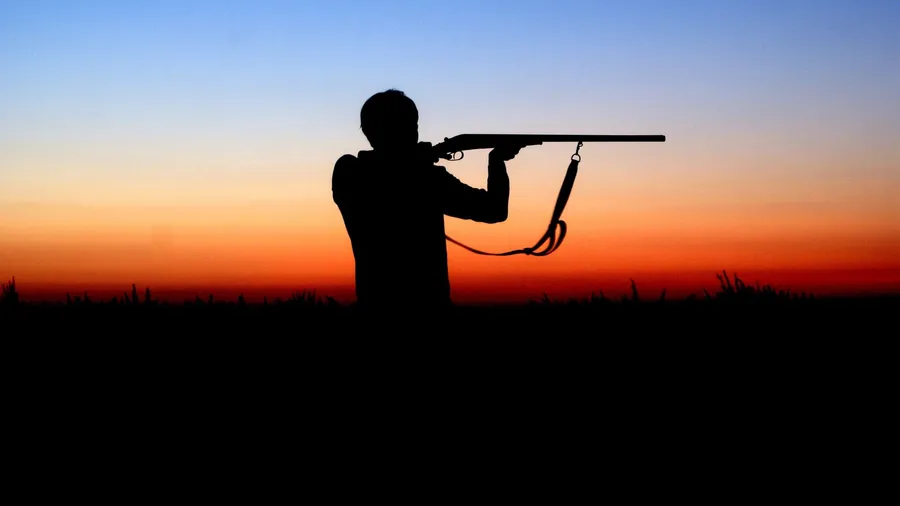 Armas de Pressão